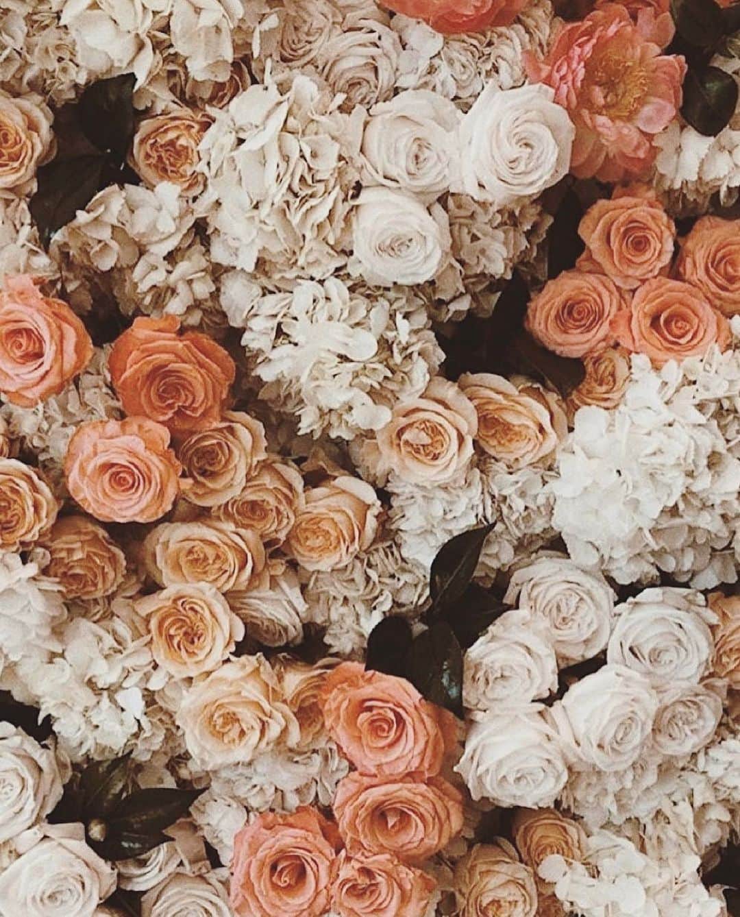 Aylen Aのインスタグラム：「For you 🌷」