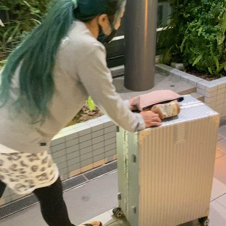 のインスタグラム：「朝マックを食べさせたら訳の分からないテンションになっております😓 これがタッグトーナメントパートナーだなんて😭 不安しかない😅 #琉ドラ #rd_pw #真栄田みさき #沖縄 #朝早い」