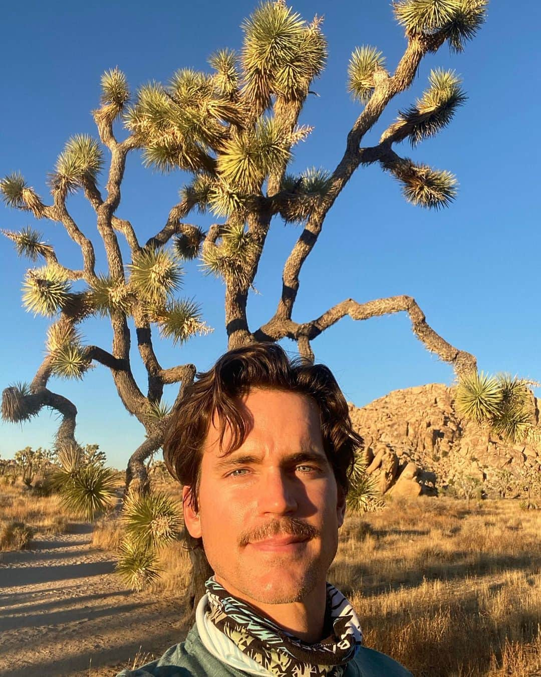 マット・ボマーさんのインスタグラム写真 - (マット・ボマーInstagram)「Greetings from Joshua Tree. Embracing #sagittariusseason. ✌️❤️🤠🏜」11月23日 6時48分 - mattbomer