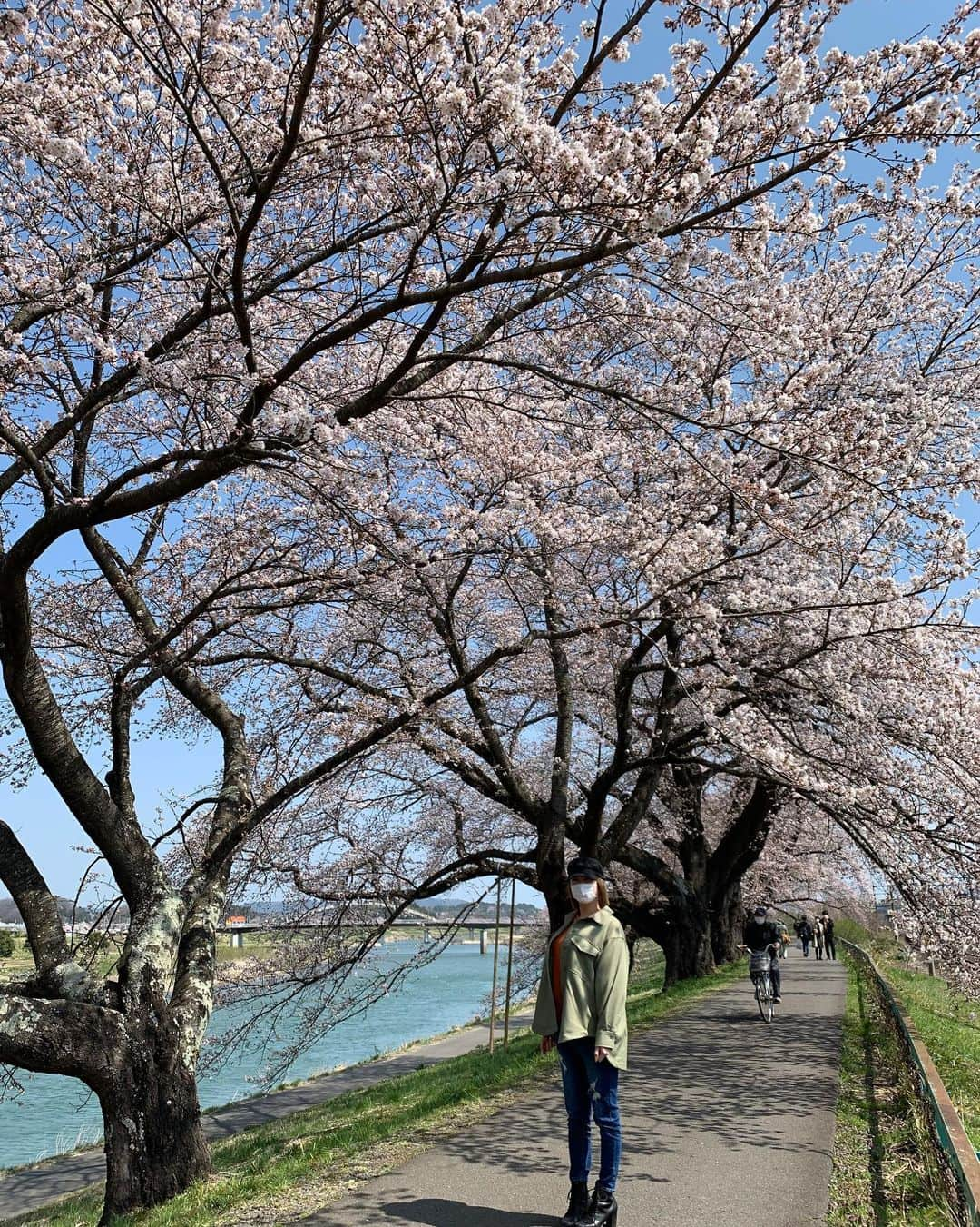 かおかおさんのインスタグラム写真 - (かおかおInstagram)「寝れないから、いつぞやの仙台載せる🌸💗 なんか楽しいことないですかね。  #北海道 #札幌 #中央区 #すすきの #バルセロナグループ #ニュークラブ #p&j #ピーアンドジェー #champagne #東京 #歌舞伎町 #大阪 #ミナミ #北新地 #仙台 #沖縄 #福岡 #中洲 #横浜 #錦 #ショートヘア #キャバ嬢 #お酒 #instalike #instagram #flowers #followforfollowback #白石川堤一目千本桜」11月23日 7時17分 - kaokao___0611