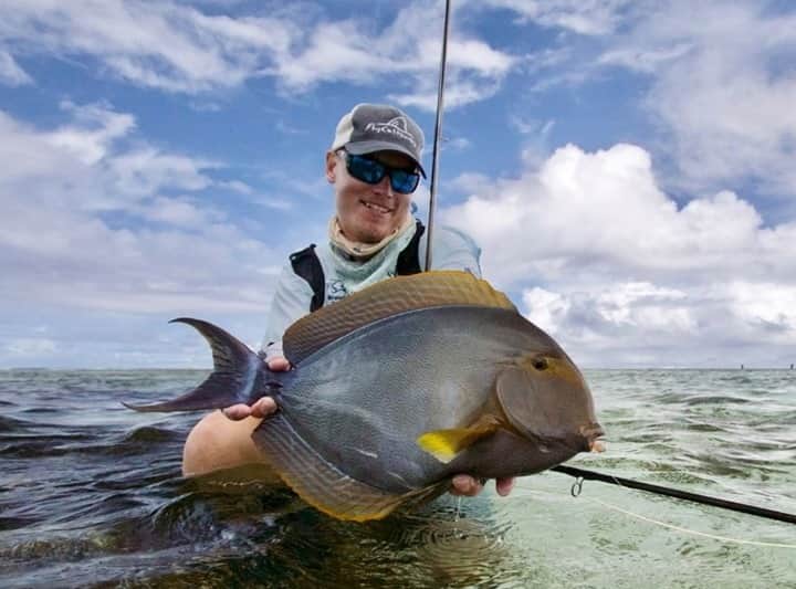 のインスタグラム：「Surgeon of the Seychelles. 📷: @captjackproductions  Brad Hyman #SeeWhatsOutThere #BornOnTheWater」