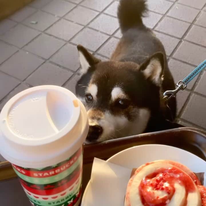 くろのグルメインスタ