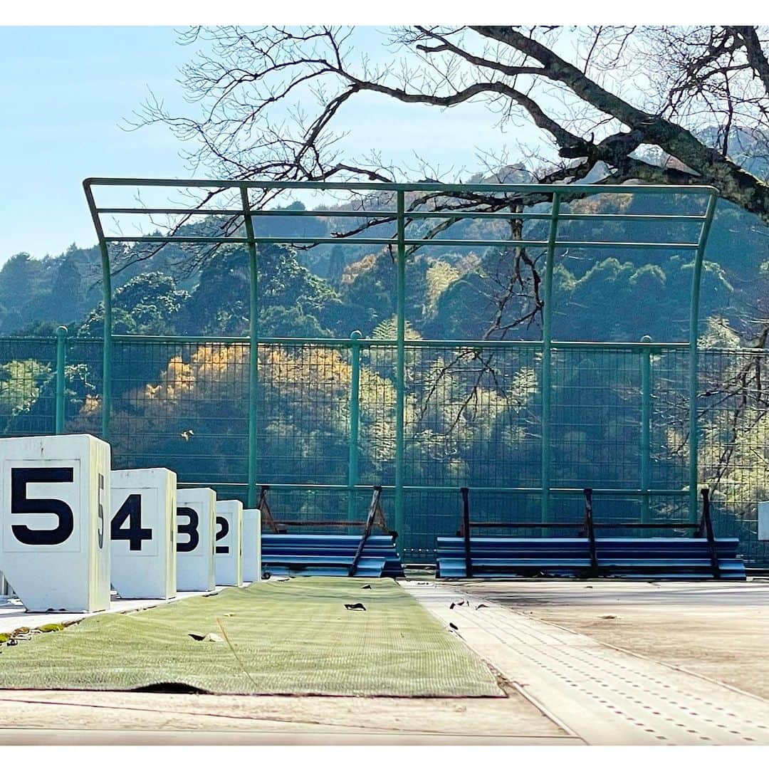 Yasuji Narutoさんのインスタグラム写真 - (Yasuji NarutoInstagram)「2020.11.18  おかんの実家の天橋立に行ってきました。  逆さ覗きを逆に覗かれてました。  ロープウェイが超怖くて楽しい。  あと、母親の母校が取り壊しになるとの事…  なんか母校が無くなるくらい子供が少なくなっているみたい。  でも50M以上離れてるところからでも「こんにちわ！」って挨拶してくれる  いい子ばかりでした笑」11月23日 8時33分 - norosuke