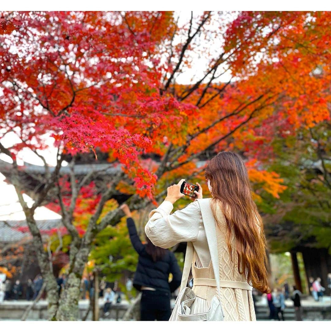 Yasuji Narutoさんのインスタグラム写真 - (Yasuji NarutoInstagram)「2020.11.21  南禅寺の紅葉と清水寺の夜間拝観に行ってきました  とてつもなく人が多いのにビックリしました  コロナ…ですよね？？ってくらい笑  まぁ自分も行ってるので人の事言えませんが笑  あとiPhone12のカメラが性能すごいです  画像加工してて気付きましたが小さい星の光まで撮れてました。  ナイトモードぱねぇす！  ぴえん超えてぱおんだわ←言いたいだけ」11月23日 8時40分 - norosuke