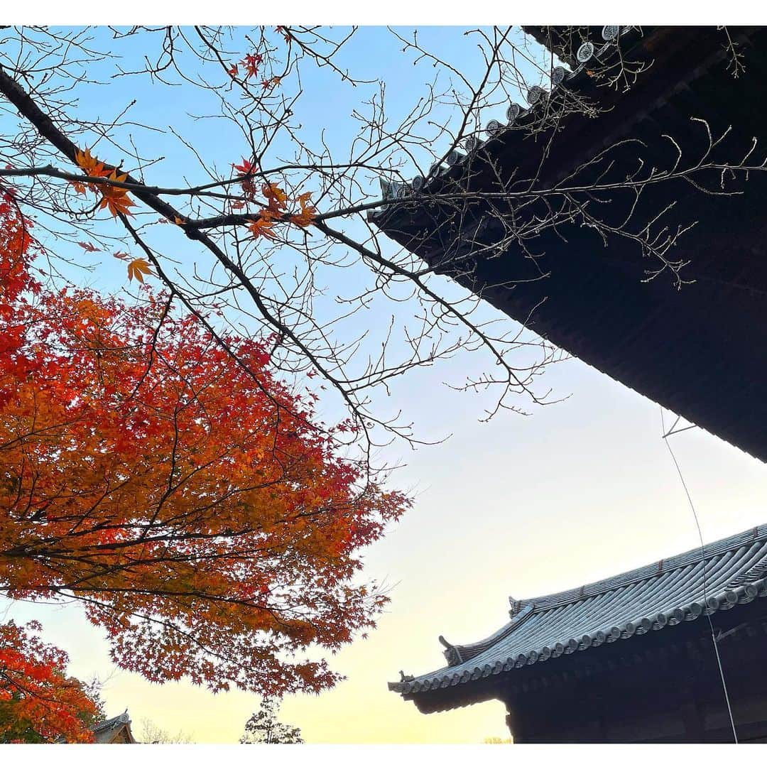 Yasuji Narutoさんのインスタグラム写真 - (Yasuji NarutoInstagram)「2020.11.21  南禅寺の紅葉と清水寺の夜間拝観に行ってきました  とてつもなく人が多いのにビックリしました  コロナ…ですよね？？ってくらい笑  まぁ自分も行ってるので人の事言えませんが笑  あとiPhone12のカメラが性能すごいです  画像加工してて気付きましたが小さい星の光まで撮れてました。  ナイトモードぱねぇす！  ぴえん超えてぱおんだわ←言いたいだけ」11月23日 8時40分 - norosuke