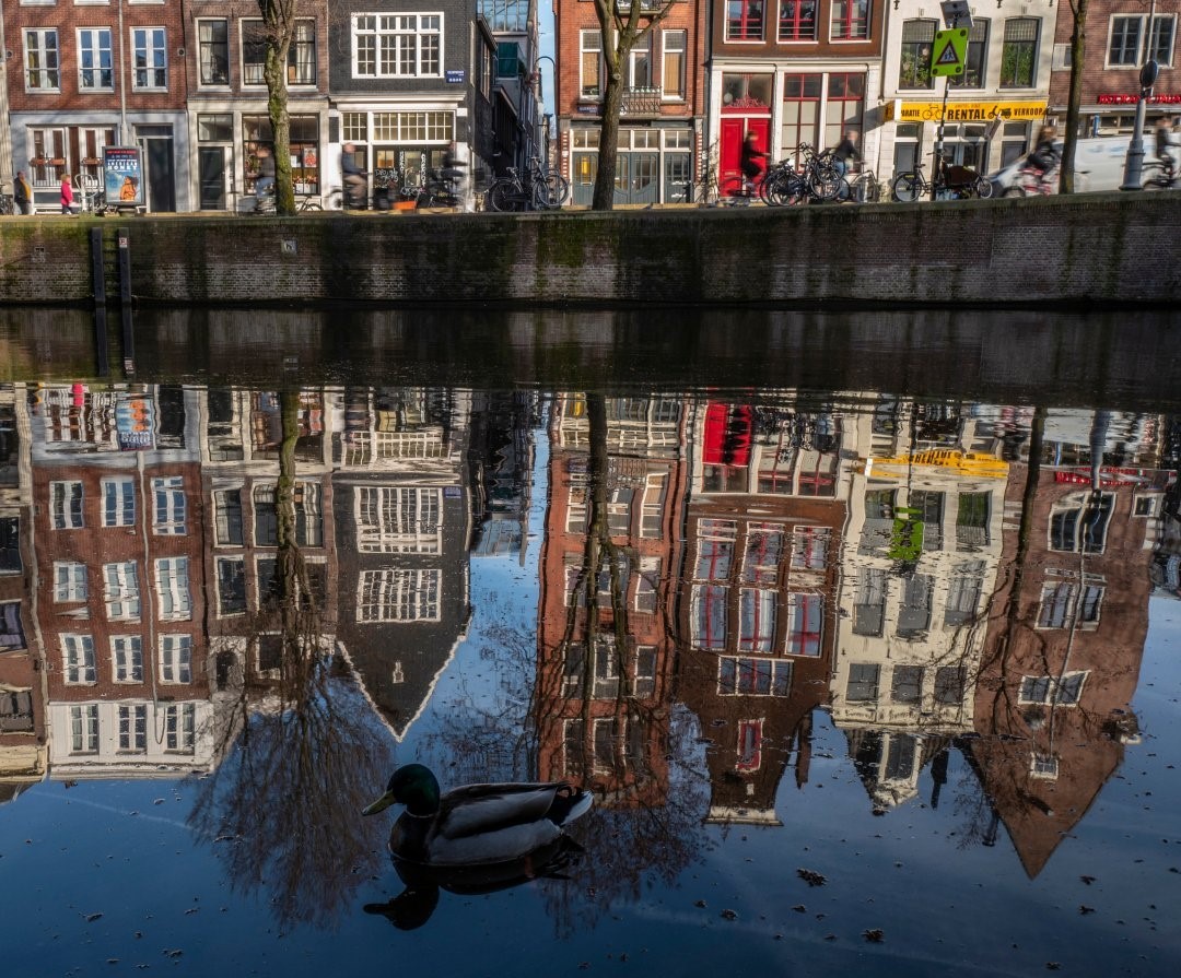 National Geographic Travelさんのインスタグラム写真 - (National Geographic TravelInstagram)「Photo by Muhammed Muheisen @mmuheisen / Houses are reflected on one of Amsterdam’s canals in the Netherlands. For more photos and videos from different parts of the world, follow me @mmuheisen and @mmuheisenpublic. #muhammedmuheisen #Amsterdam #Netherlands #canals」11月23日 8時35分 - natgeotravel