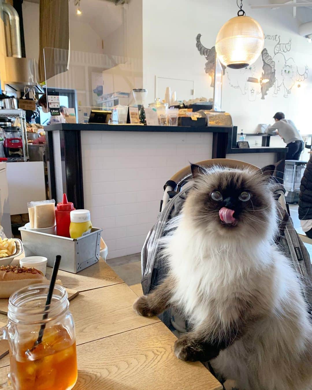 plumeのグルメインスタ