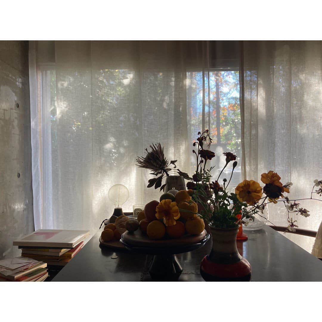 journaleatripのインスタグラム：「November morning  季節が移ろいでる」