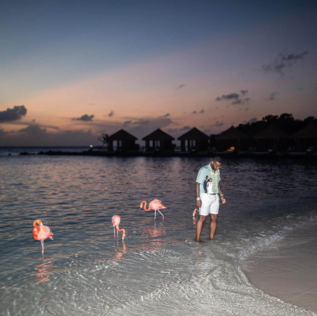 ファボラスさんのインスタグラム写真 - (ファボラスInstagram)「Flamingo : Birthday Boy, what you learned thru the last year ?   Me :  I learned that some things break your heart but fix your vision..  🦩 🌅   #KickinItWitTheFlamingoHomies  #Aruba #BdayTrip」11月23日 9時49分 - myfabolouslife