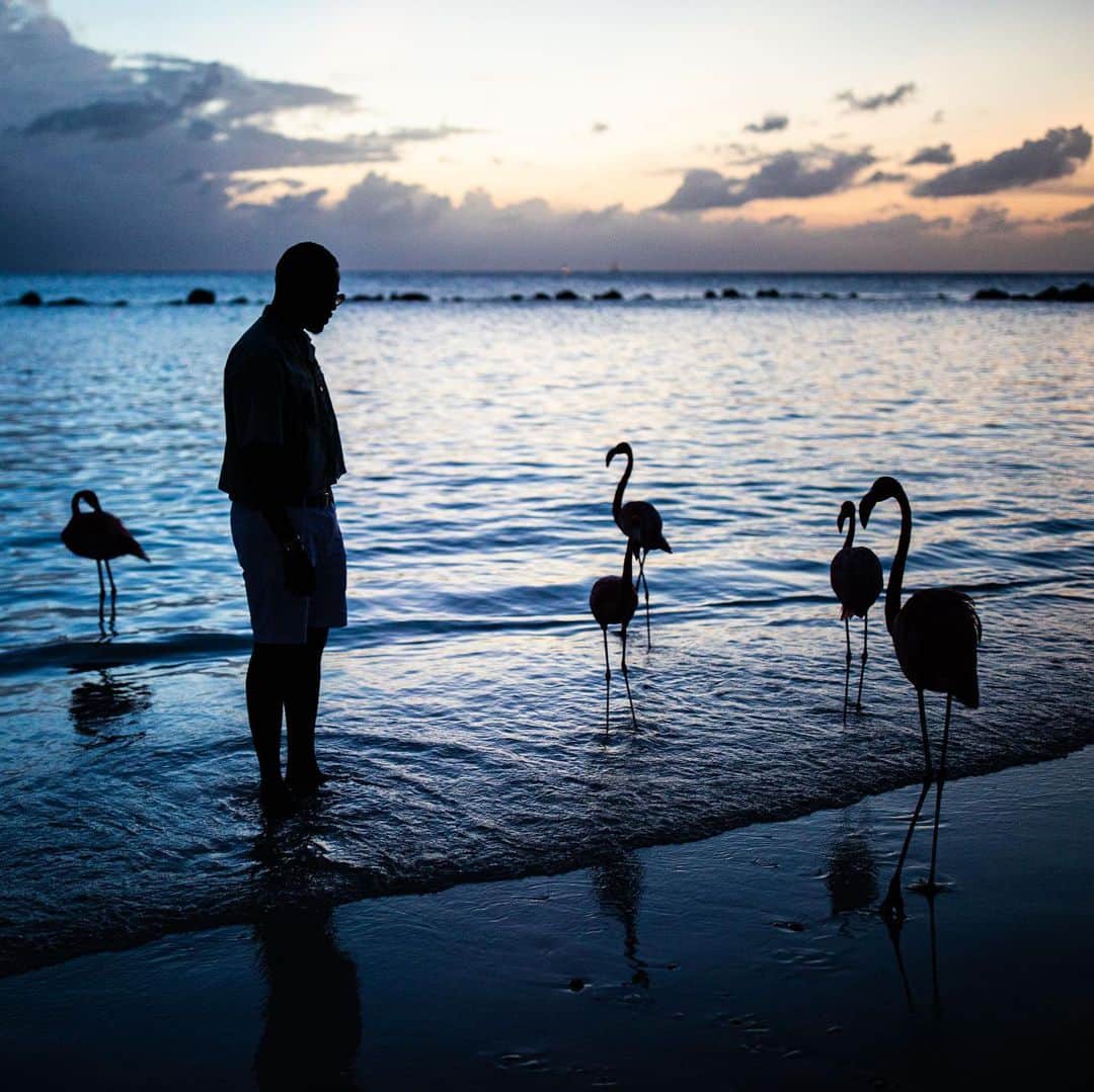 ファボラスのインスタグラム：「Flamingo : Birthday Boy, what you learned thru the last year ?   Me :  I learned that some things break your heart but fix your vision..  🦩 🌅   #KickinItWitTheFlamingoHomies  #Aruba #BdayTrip」