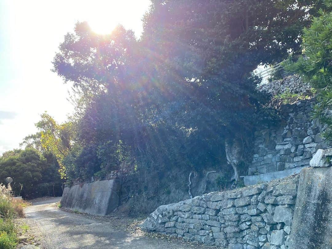 青山有紀さんのインスタグラム写真 - (青山有紀Instagram)「淡路島最高峰の諭鶴羽神社。 ハードな道のりでしたが神社に着いたら晴れてくれて🌞 夏のような暖かさ🌞」11月23日 10時38分 - yukiaoya