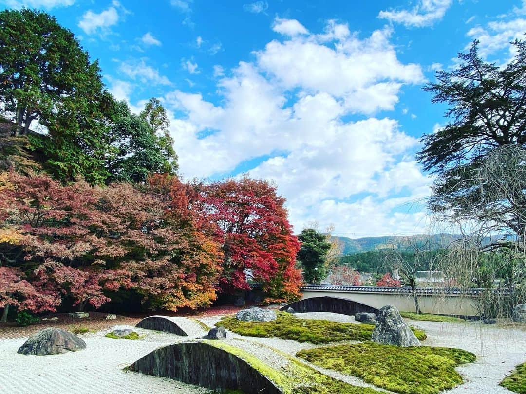 kiccyomuのインスタグラム：「☁️ 2020.11.23 Mon #実相院門跡 #京都 の #紅葉 🍁 門跡巡り 何処も京都の庭園は美しい😊 #iPhone  今日も元気に🤗  location #京都 📷撮影 2020年11月22日」