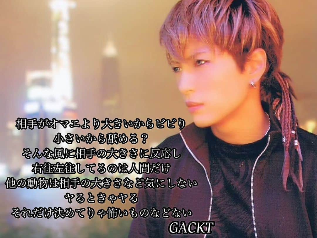 GACKTさんのインスタグラム写真 - (GACKTInstagram)「★ Are you scared when someone is bigger than you and mean to that someone when they are smaller?  Only humans react like that when it comes to the size of others Animals don't care about their size They just do what they want  If you adapt that idea, you won’t be afraid of anything  #GACKT #ガク言 #mindset」11月23日 11時02分 - gackt