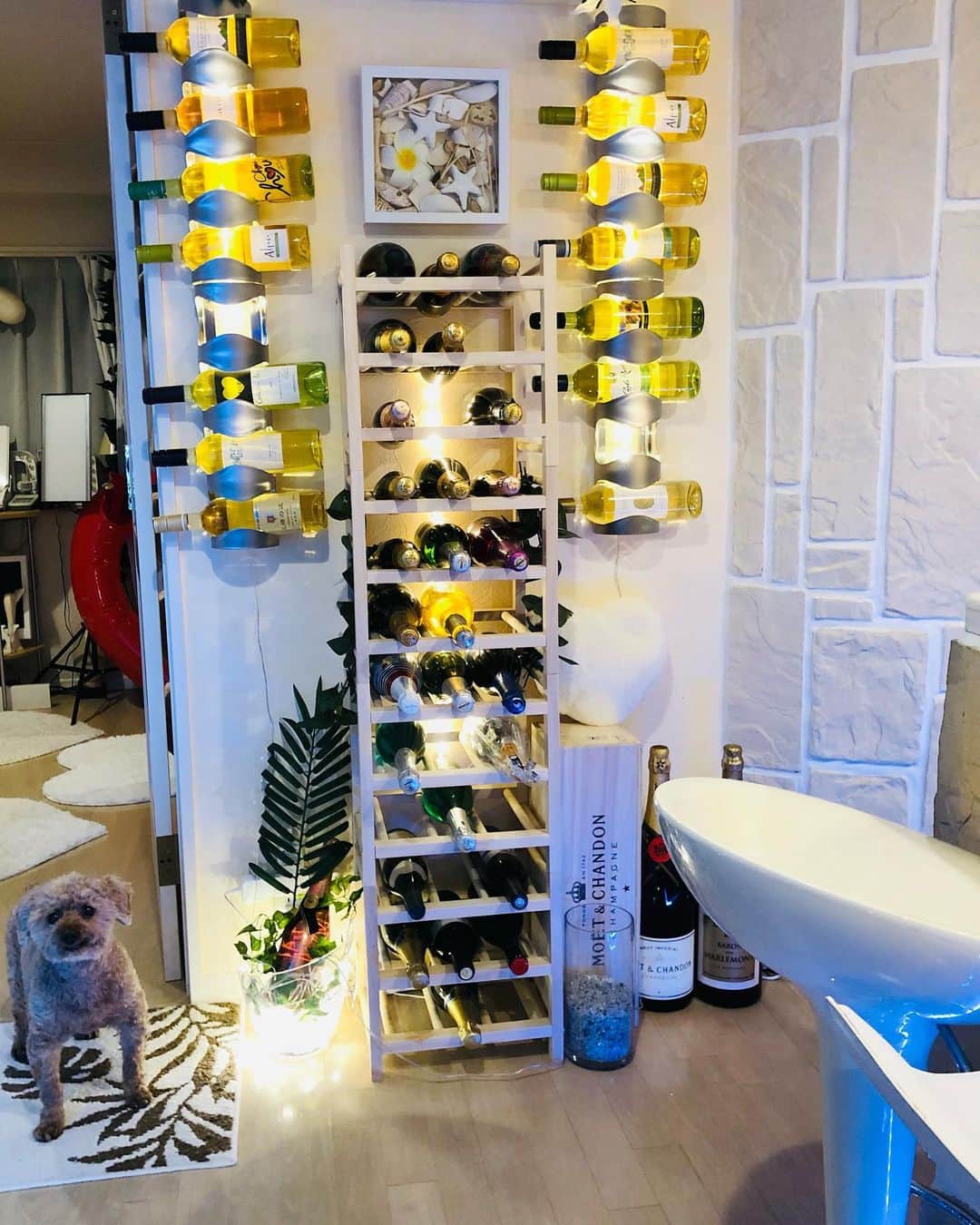 マイケル富岡のインスタグラム：「ready for champagne? さてと…ホリディという事で…とっておきのシュワシュワでも いかがでしょうか♡ソムリエはもちろんモコ♪ #holiday #home #bar #winecellar #champagne #sommelier #祝日 #シャンパン #シュワシュワ #ソムリエ #愛犬 #愛犬家 #ワインセラー #バー #自宅 #マイケル富岡　#タレント #俳優 #撮影 #actor #actorslife #shooting」