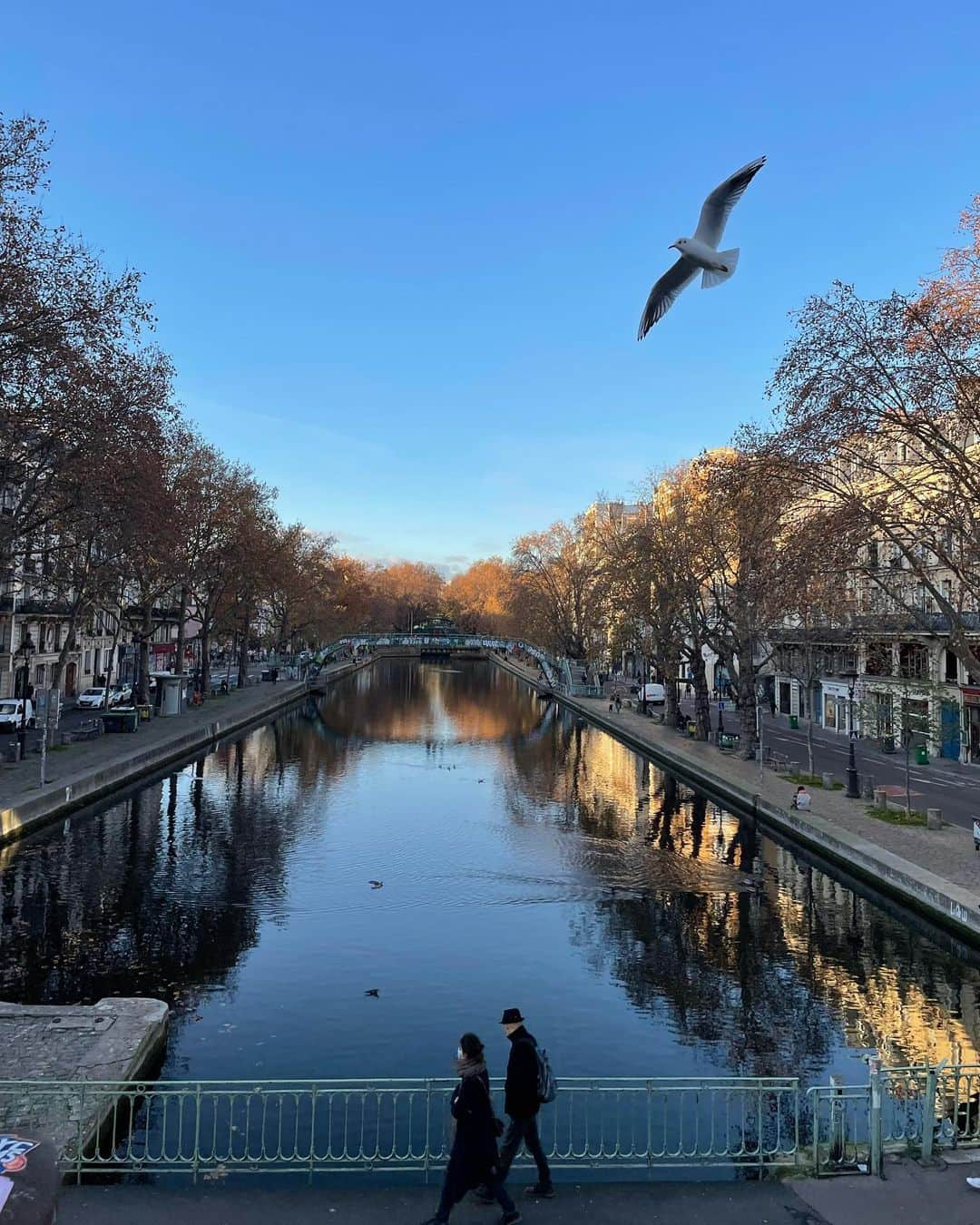 大森美希さんのインスタグラム写真 - (大森美希Instagram)「un certain jour de novembre  ある日のサンマルタン運河  #paris #canalsaintmartin #lockdown #lockdown2 #pariswalk #parislife #parisjetaime #promenadeaparis #laviequotidienne #パリ #サンマルタン運河 #パリ散歩 #ロックダウン #ロックダウン中 #パリところどころ #パリ生活 #海外生活 #パリを歩く #今日も歩く #パリの日常 #パリの風景」11月23日 11時49分 - mikiomori_