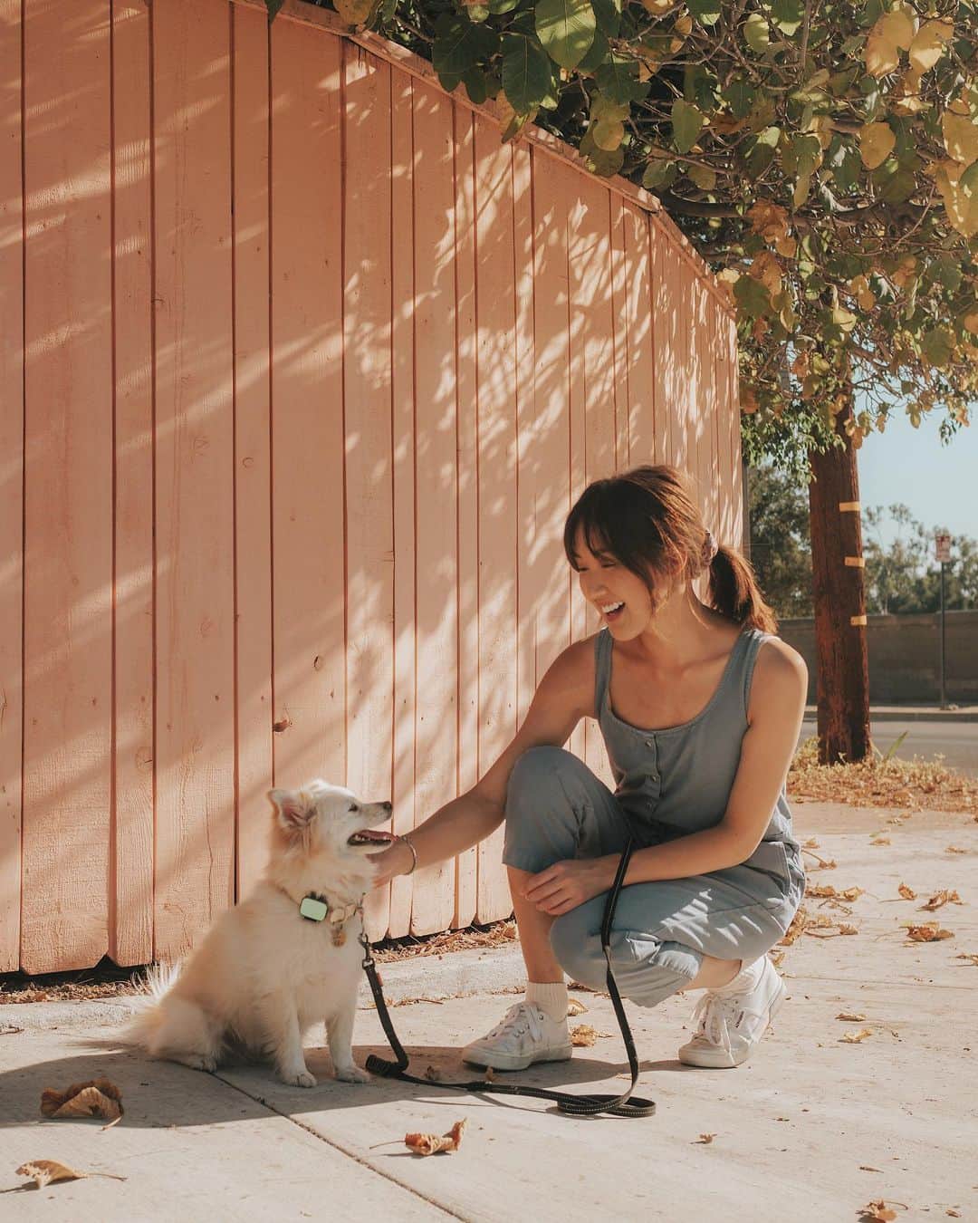 W E Y L I Eのインスタグラム：「Never a dull moment with my pack 🐕 #ad Spending time outdoors is one of our favorite things to do together. Whether it’s camping, hiking, going to the beach or even taking a neighborhood walk! I recently started watching @ThePackOnPrime on @AmazonPrimeVideo, and I cried on the first episode 🥺 A group of people and their dogs travel the world and take on challenges together. The dogs were so cute and the bond each person had with their pup made me so emotional!! The best part is, Amazon Prime Video is donating a total of $500k to help animals in need. Once I started the show, I couldn’t stop and each episode brought me closer to each persons story. Ughh MUST watch!!」