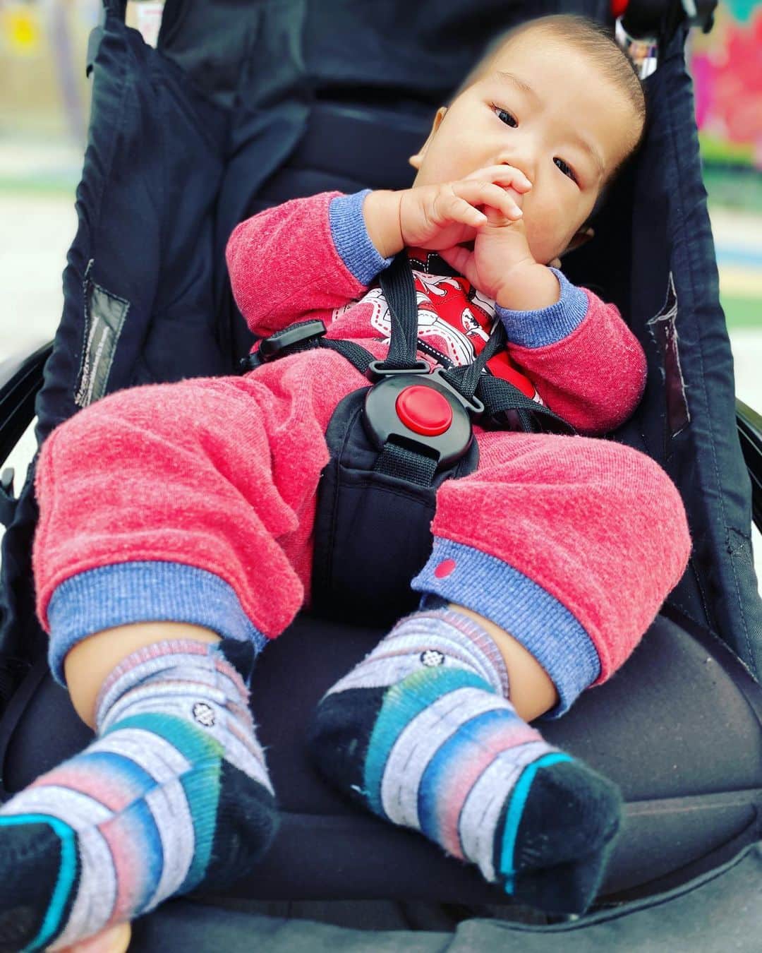 眞庭城聖さんのインスタグラム写真 - (眞庭城聖Instagram)「父から子へのプレゼント🎁  #stance #stanceギフト #socks #family  #kids #stanceをプレゼントしよう #ありきたりはつまらない」11月23日 12時28分 - money_0527