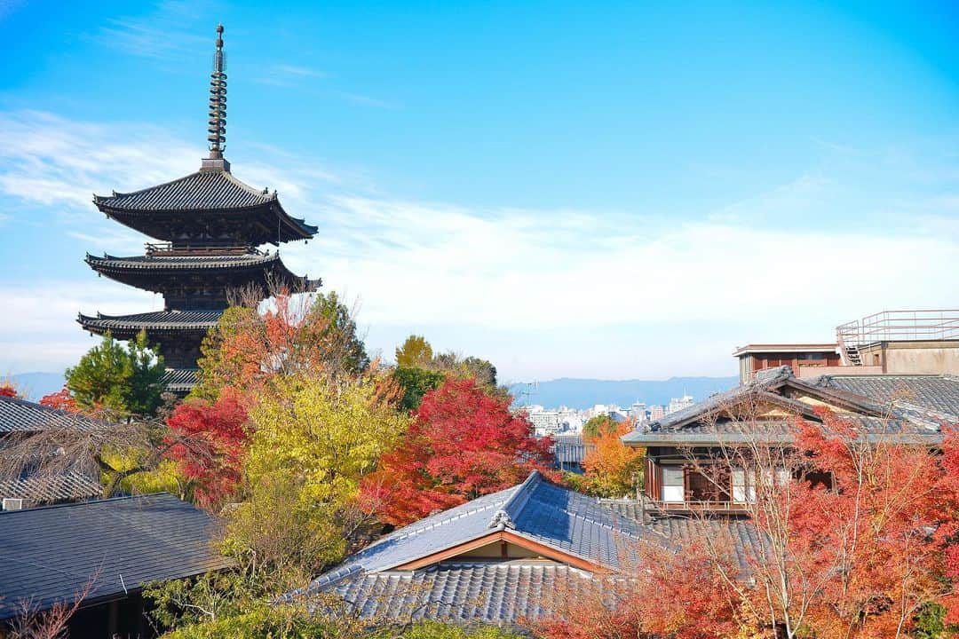 THE SODOH OFFICIALのグルメインスタ