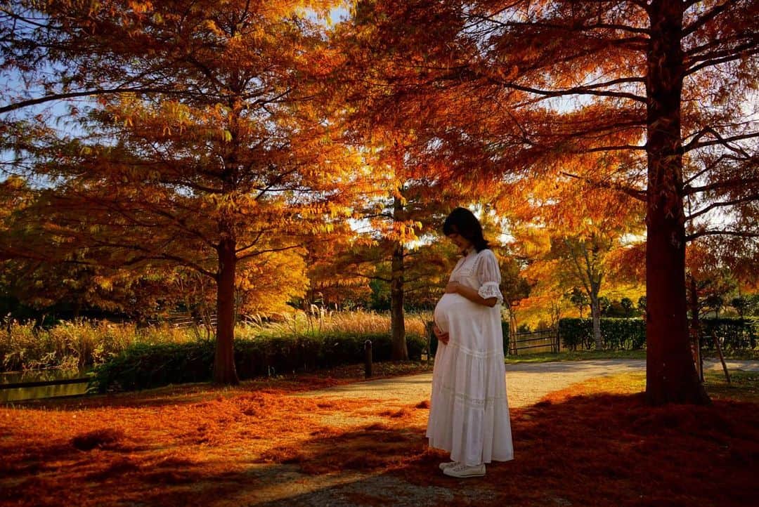 竹内由恵さんのインスタグラム写真 - (竹内由恵Instagram)「里帰り前、最後の週末に、浜名湖ガーデンパークという公園に行ってきました。 今の姿を撮っておこう♪とカメラを首にかけて向かったところ、 紅葉が見頃を迎えていました。  #セルフマタニティフォト#紅葉シーズン#静岡#とはしばらくお別れ#里帰り出産」11月23日 12時38分 - yoshie0takeuchi