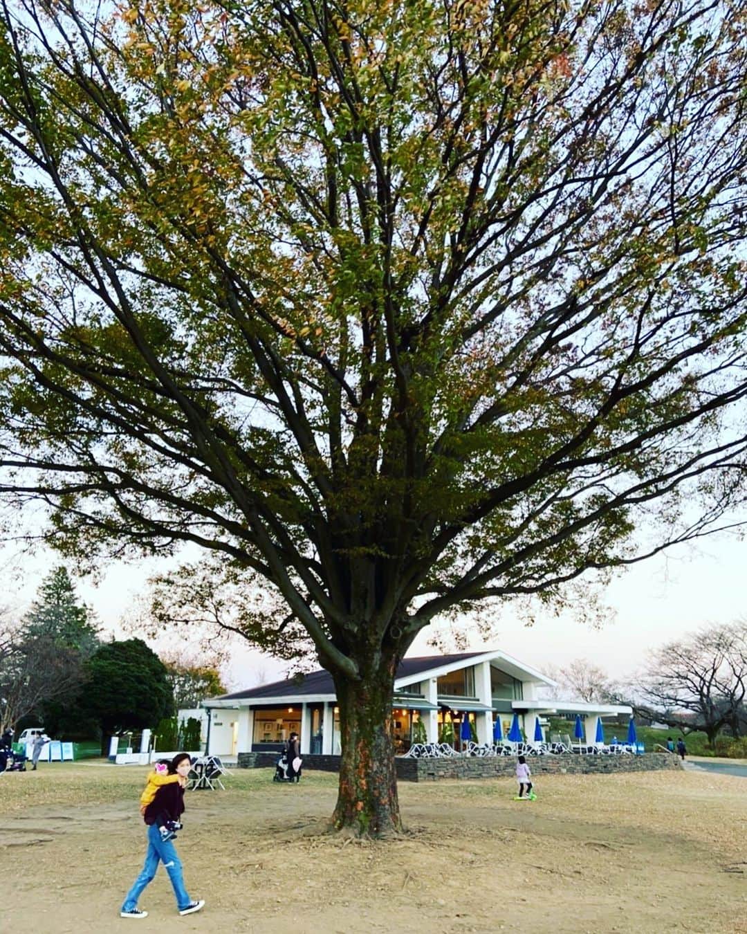 安田美沙子のインスタグラム
