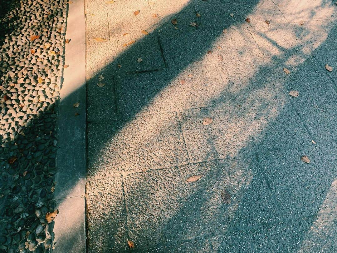 小此木まりさんのインスタグラム写真 - (小此木まりInstagram)「🍂  ひゃあーっ  「Now.Here.This.」 稽古も佳境です。  今日は衣装ヘアメイク付き通し稽古でした。  早くお客様に会いたい…！  明日もがんばります！  #ミュージカル #NowHereThis #稽古 #佳境 #落ち葉 #影 #美しい時間 #時間」11月23日 23時47分 - mariokonogi