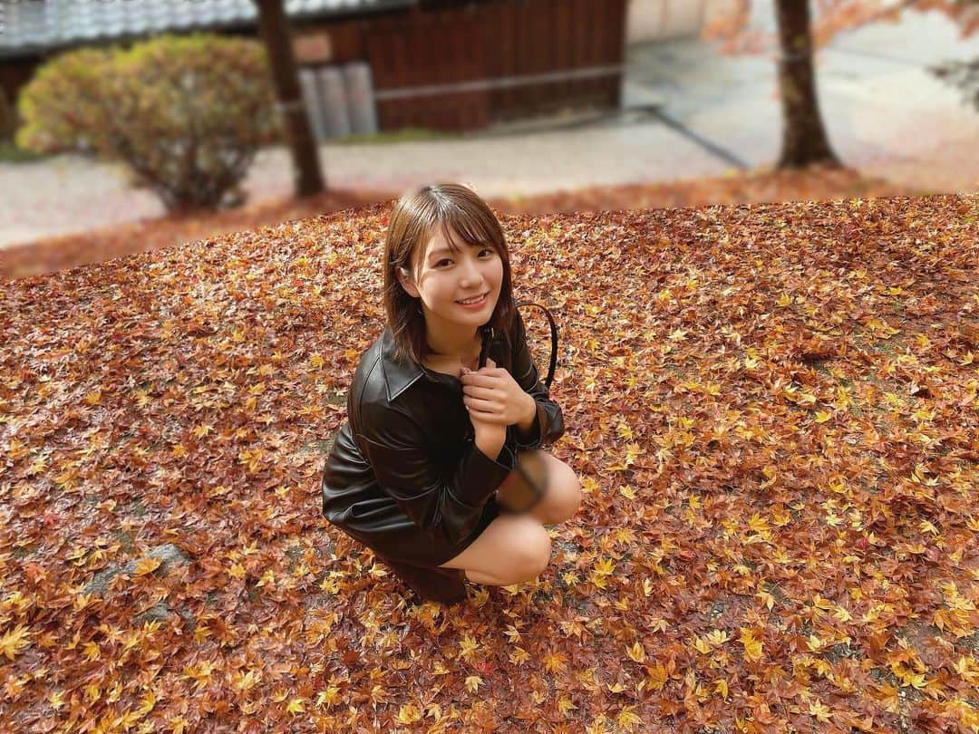 せなななせさんのインスタグラム写真 - (せなななせInstagram)「紅葉シーズン🍁 落ち葉のカーペットが綺麗に広がってました🥰🥰 ・ ・ ・  #せなななせ #みにょん  #高身長女子 #撮影会モデル #撮影会 #被写体モデル #被写体 #ポートレート #ファインダー越しの私の世界 #紅葉 #紅葉スポット #香嵐渓 #落ち葉 #落ち葉遊び #枯葉 #秋 #黒ワンピ #ブラックコーデ #zaraコーデ #instagood #instalike #instapic #instaphoto #instalove #fashion #zara #fff #followforfollowback #aichi #japan」11月23日 22時22分 - nexus_s.nanase