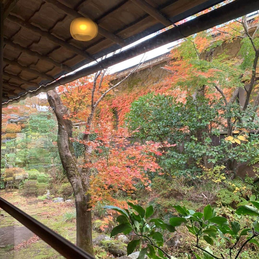 クリス智子さんのインスタグラム写真 - (クリス智子Instagram)「秋はいいなぁ。」11月23日 22時32分 - chris_tomoko