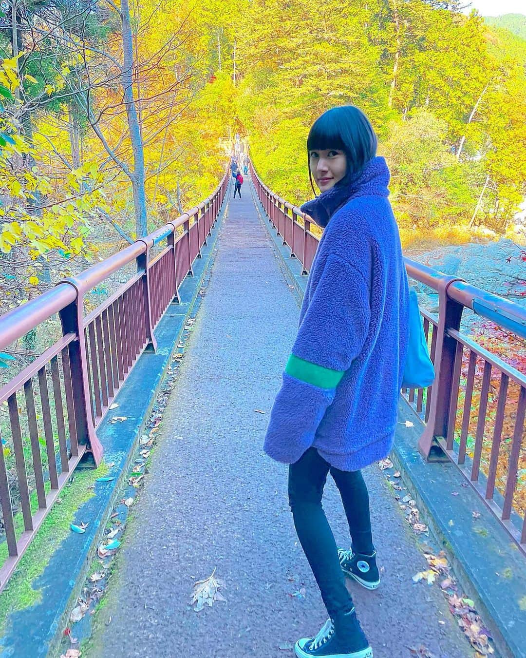 新井貴子さんのインスタグラム写真 - (新井貴子Instagram)「紅葉まであと一歩！ まだ黄色ちゃんでした🍁 橋を渡れば少し揺れており、まさに黄色信号？🤨🚦笑  どんな時も歩みを止めず、前へ進んで行きたい。  #信号は守ろう」11月23日 22時31分 - kikoarai