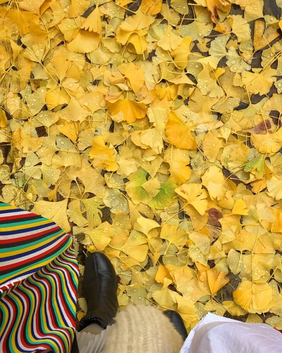水戸悠夏子さんのインスタグラム写真 - (水戸悠夏子Instagram)「今朝。雨に濡れてもまた綺麗。新潟三越閉店時に救出した三越傘、ご機嫌な色合いで結構（いや かなり）気に入っています。」11月23日 22時38分 - mitoyukako