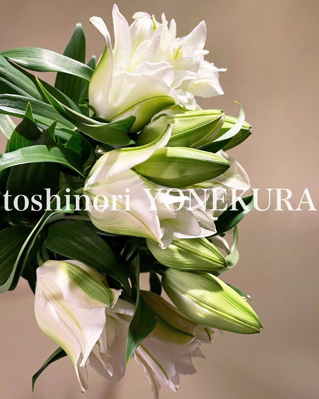 米倉利紀さんのインスタグラム写真 - (米倉利紀Instagram)「flowers of this week #男花 #花のある生活 #newfavorite」11月23日 22時41分 - toshi_yonekura