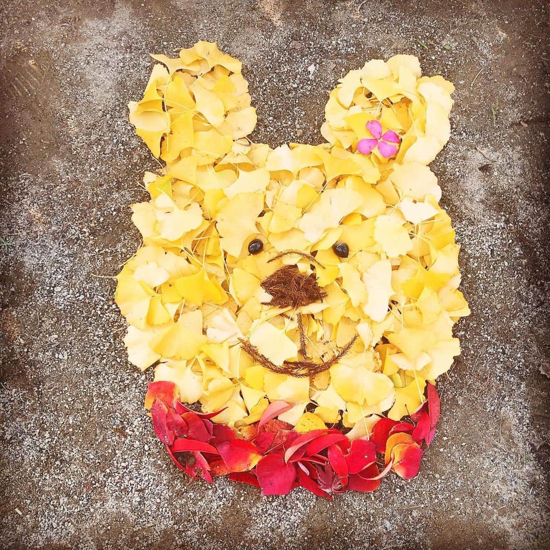 のインスタグラム：「近所の山を散歩して、近所の公園で、、、  #落ち葉アート #くまのプーさん  #イチョウ #親の方が必死 #家族の時間」