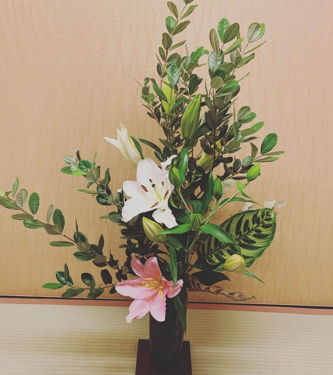 丸山桂里奈さんのインスタグラム写真 - (丸山桂里奈Instagram)「素敵なお花。 癒されますね🎵  #お花を見ると #母のイメージ #それくらい母は花が好き #今は2人でガーデニング  #大人になってやっとわかりました #花の良さ #昔は蜜ばかり吸ってたな #みんなやるよね #懐かしいね #いい意味で #インスタバエ」11月23日 22時45分 - karinamaruyama