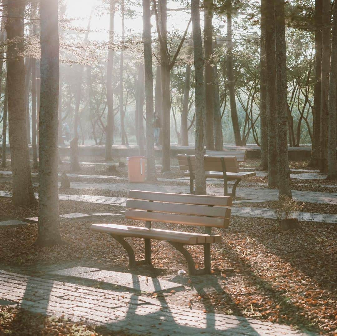 李翔のインスタグラム：「放幾張照片上來﻿ ﻿ #SonyAlpha #SonyA7C #SEL70200G﻿ @sonytaiwan ﻿ @sonyalpha﻿ ﻿」