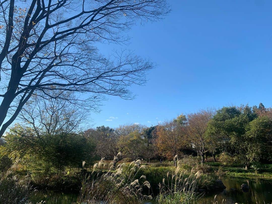 fuukaのインスタグラム：「. 今しか出来ない事を全力で . . #秋 #自然 #風景 #写真 #アーカイブ」