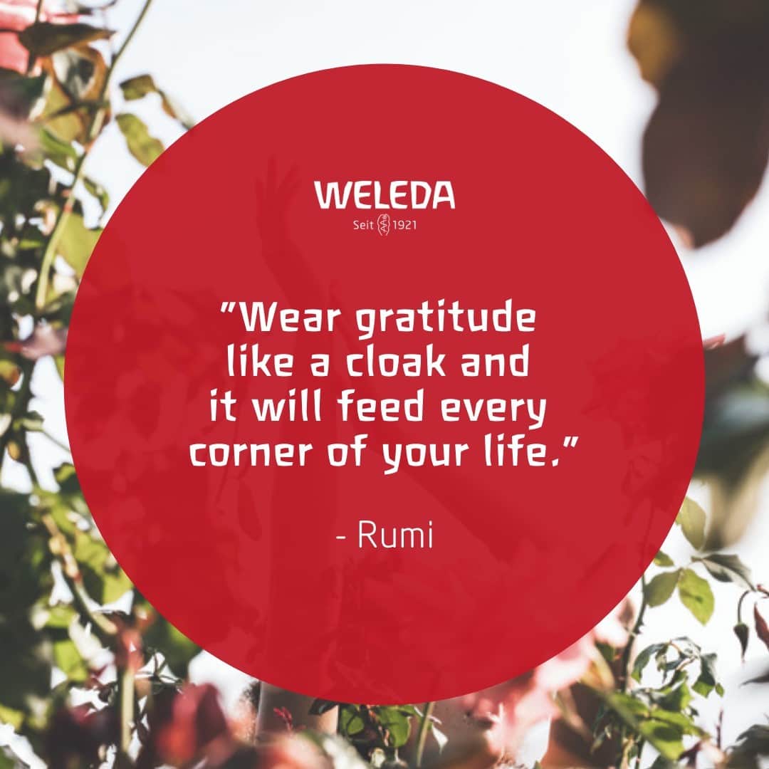Weledaさんのインスタグラム写真 - (WeledaInstagram)「What are you grateful for today? ✨ Leave a comment and let us know! #quoteoftheday #rumi」11月23日 23時00分 - weleda_usa