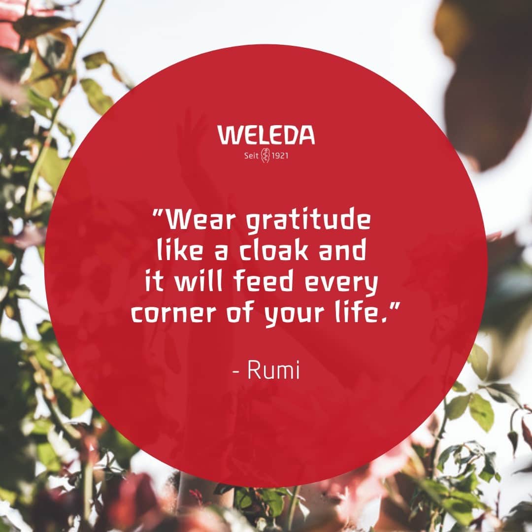 Weledaのインスタグラム：「What are you grateful for today? ✨ Leave a comment and let us know! #quoteoftheday #rumi」