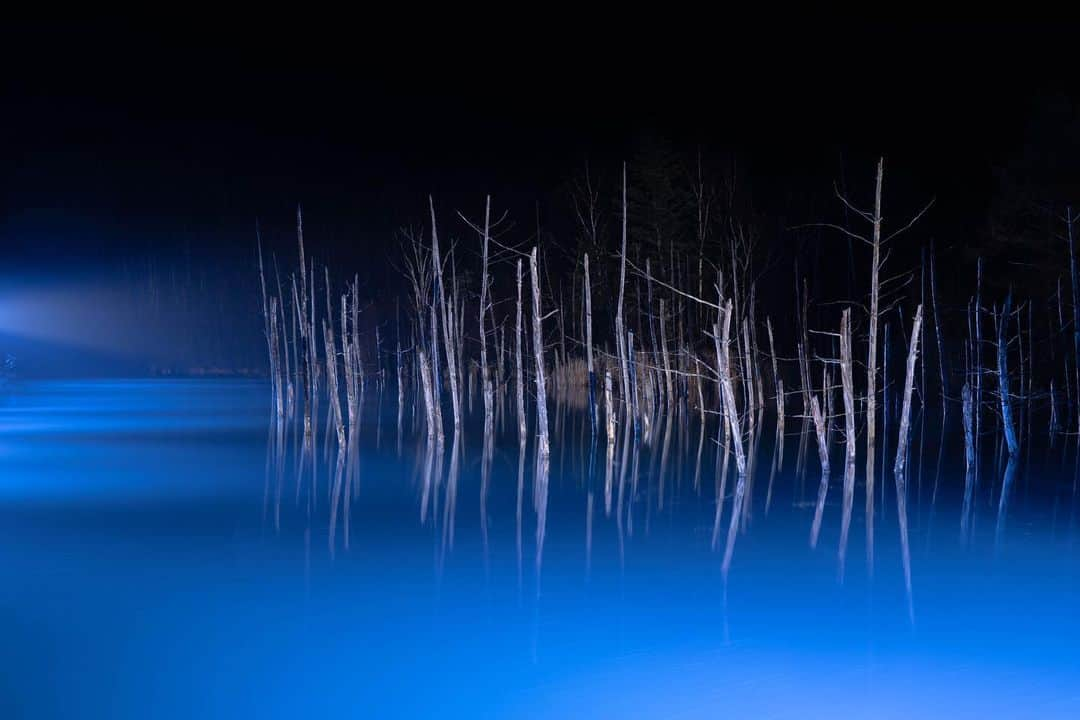 Hikaruのインスタグラム：「#青い池  . .  Silent time . . #北海道 #raytrekフォトコンテスト2020 #レイトレッククリエイター #東京カメラ部 #tokyocameraclub #natgeo #sonyphotography #pashadelic #phot_jpn #photo_travelers #photostarttrip #total_nature_jpn #1x_japan #nipponpic #jpan_beautiful_days #北海道ミライノート　 #bestphoto_japan #japan_of_insta #bestphot_japan #bestjapanpics #1x」