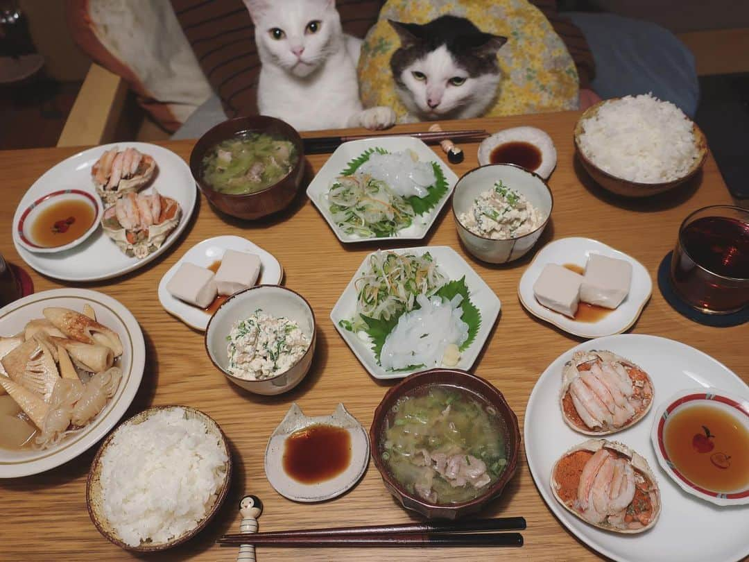 八、おこめさんのインスタグラム写真 - (八、おこめInstagram)「お疲れ様〜☆ご褒美贅沢ご飯🤤✨ 石川ではほぼ皆んな1杯はこの時季食べるであろう香箱ガニ🦀 直ぐ食べれる状態でお実家から届いたw 『全国お母さんカニ身剥き大会』とかあったらうちの母はぜったい上位に食い込むはず！なほどキレイに剥いて盛り付けてくれる👏 もう一つのメインはオトンが釣ったアオリイカのお刺身✨ あとは、自分が食べたい煮物に春菊の白和え、胡麻豆腐にお味噌汁。 好物ばっかり♩ ほんでおまけの食後の甘えんboy♡ #香箱ガニ #和食 #アオリイカ #八おこめ #ねこ部 #cat #ねこ #猫 #ネコ #八おこめ食べ物 #石川の味」11月23日 23時09分 - naomiuno