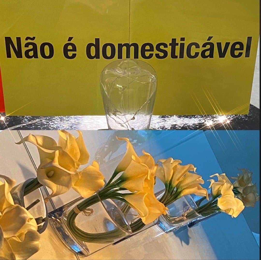 Giovanna Antonelliのインスタグラム：「No, I'm not! 😂」