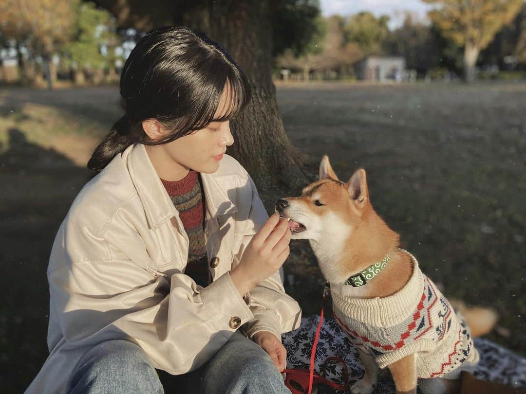 若林薫さんのインスタグラム写真 - (若林薫Instagram)「お元気ですか？  私は元気です☺︎  虎丸と母と近所の公園へお散歩に行きました﻿ ここ数日暖かく過ごしやすい日でしたね🍁﻿」11月23日 23時21分 - ___ai7.___