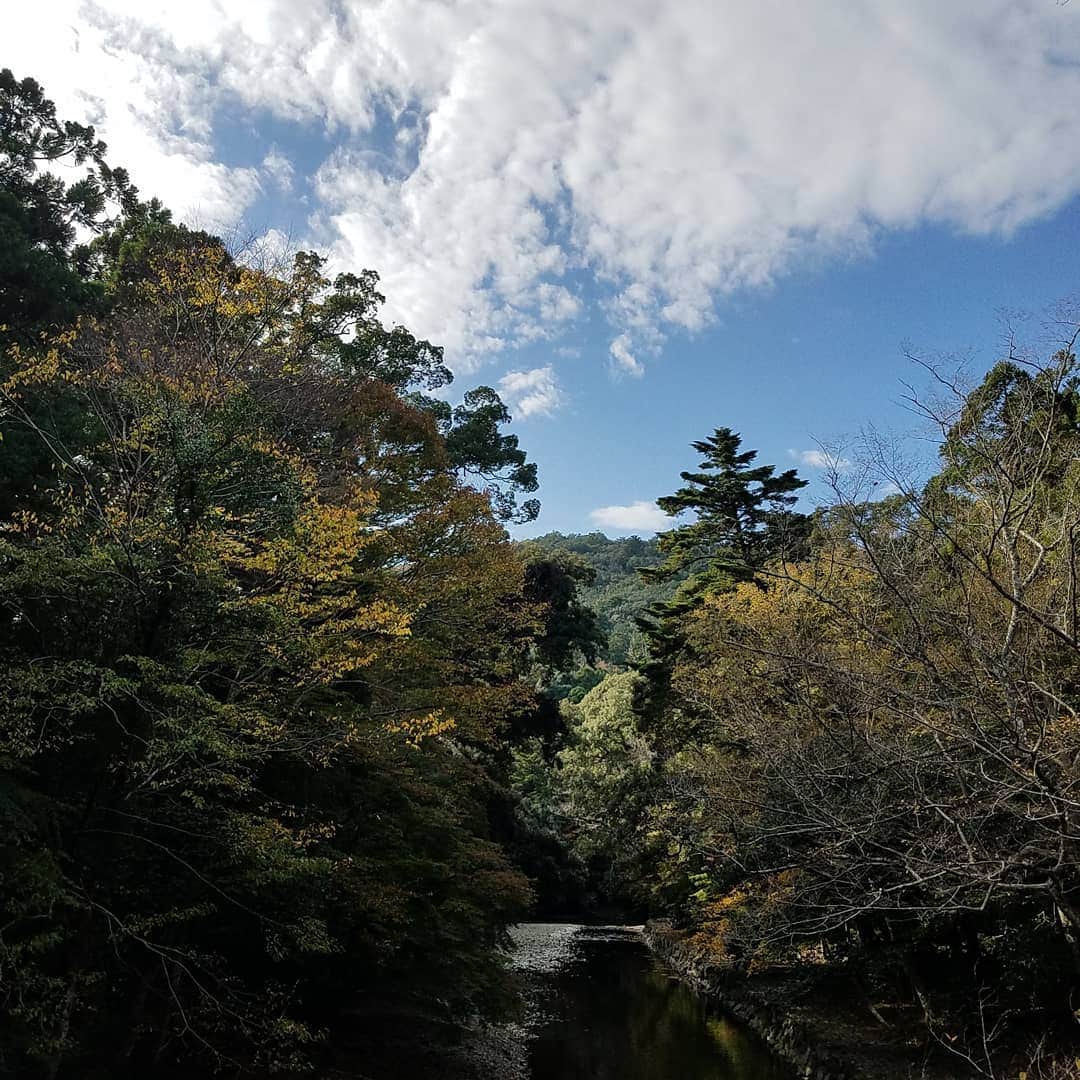 常世晶子さんのインスタグラム写真 - (常世晶子Instagram)「コロナの最中ではありますが、gotoで伊勢志摩へ。素敵な写真と動画がたくさん撮れたのでシェアいたします。少しでも癒されてもらえたら嬉しいな。 まずは…多少の紅葉、パワースポット伊勢神宮😊🍁  #伊勢神宮 #紅葉 #パワーをあなたに」11月23日 23時22分 - tokoyo_shoko