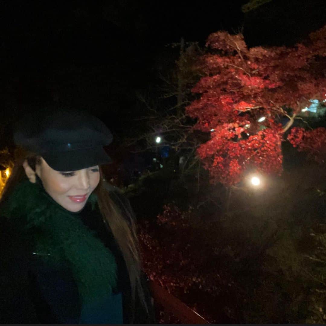 麻美さんのインスタグラム写真 - (麻美Instagram)「ケーブルカーまでの 階段が…😅 ． それさえなければ お義父さんお義母さんに 見せてあげたい🍁 ． 足腰強い方は是非行ってみてください❣️ ． #大山寺 #紅葉」11月23日 23時25分 - mami0s