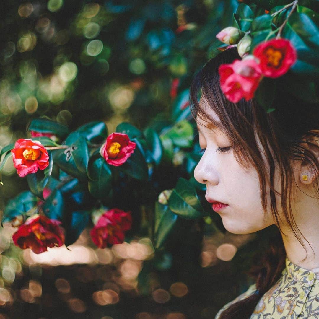 Naokoさんのインスタグラム写真 - (NaokoInstagram)「flowers..」11月23日 23時39分 - chiaoking