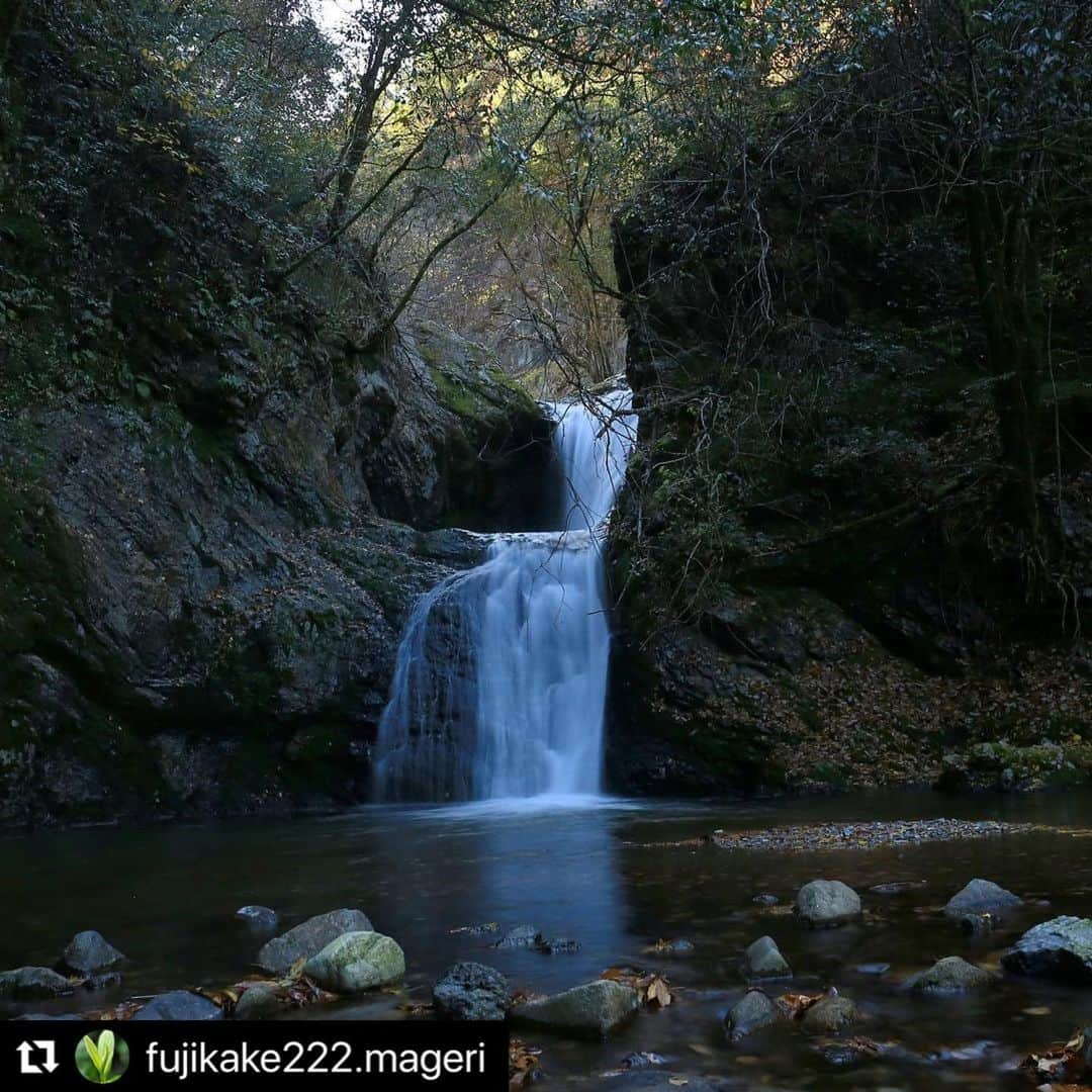 Gero City【下呂市公式アカウント】さんのインスタグラム写真 - (Gero City【下呂市公式アカウント】Instagram)「#Repost @fujikake222.mageri with @make_repost ・・・ 横谷峡.二見滝  紅葉はほぼ終了でしたが😭滝のある所へ来ると何か感動しますね✨😆  #日本の風景 #日本の絶景 #岐阜インスタ部 #gerostagram #下呂アンバサダー #daily_photo_japan #phos_japan #japan_daytime_view #japan_of_insta #photo_life_best #be_one_natura #vivid_impact #nipponpic #best_moments_nature#art_of_japan_#wu_japan #super_japan_channel#team_jp_ #lines_and_points#pashadelic#visit_tokai #クラウドcフォトコンテスト春夏 #lovers_amazing_group#東海カメラ倶楽部 #こころから #my_eos_photo#ig_magical_nature#photohall_japan#gifuebooks」11月23日 23時39分 - gerostagram