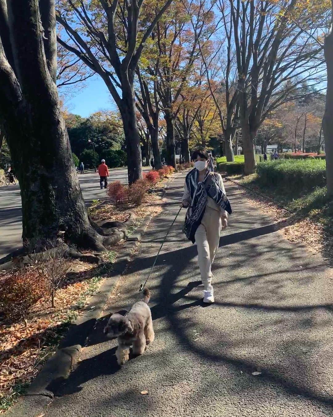 早坂香須子さんのインスタグラム写真 - (早坂香須子Instagram)「京都小川珈琲が世田谷桜新町の住宅街に新店舗を出したと聞き、調べたら割と知り合いが関わっているのもあって、お天気に誘われて長めのお散歩がてら訪ねてみました。  @ogawacoffee_laboratory   犬は店内には入れず作家さんの器で飲むことはできなかったれど、日向ぼっこは気持ちいいし、壁に小山剛さんのオブジェ見つけて嬉しくなっちゃった。  良い休日。」11月23日 14時52分 - kazukovalentine