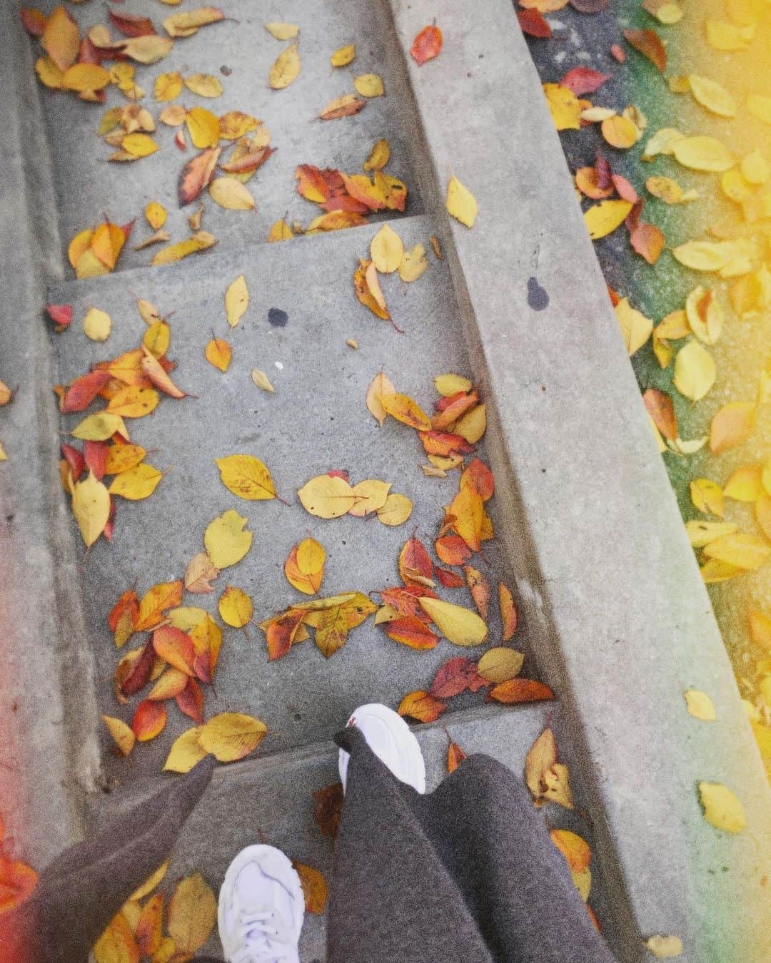 チョン・ヒョソンさんのインスタグラム写真 - (チョン・ヒョソンInstagram)「가을도 이제 안녕 🍁  오늘밤도 #전효성의꿈꾸는라디오 📻  #MBCFM4U #오후8시 😍」11月23日 14時54分 - superstar_jhs