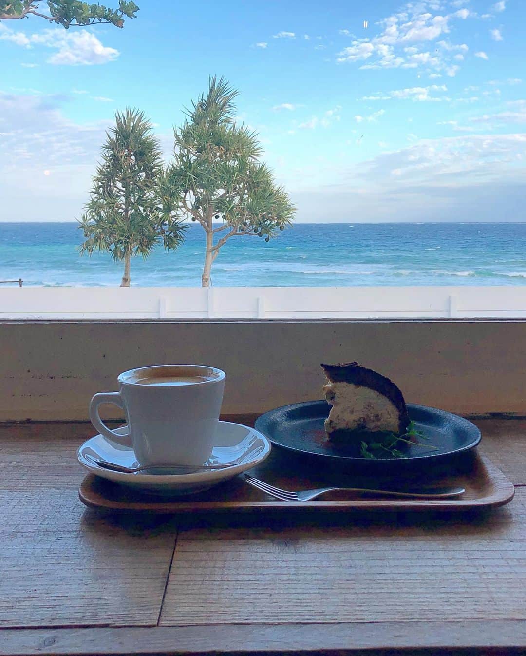 若森さちこさんのインスタグラム写真 - (若森さちこInstagram)「海沿いのカフェの看板犬 #旅の思い出 #久米島  #backshoreranch」11月23日 15時17分 - pistachico