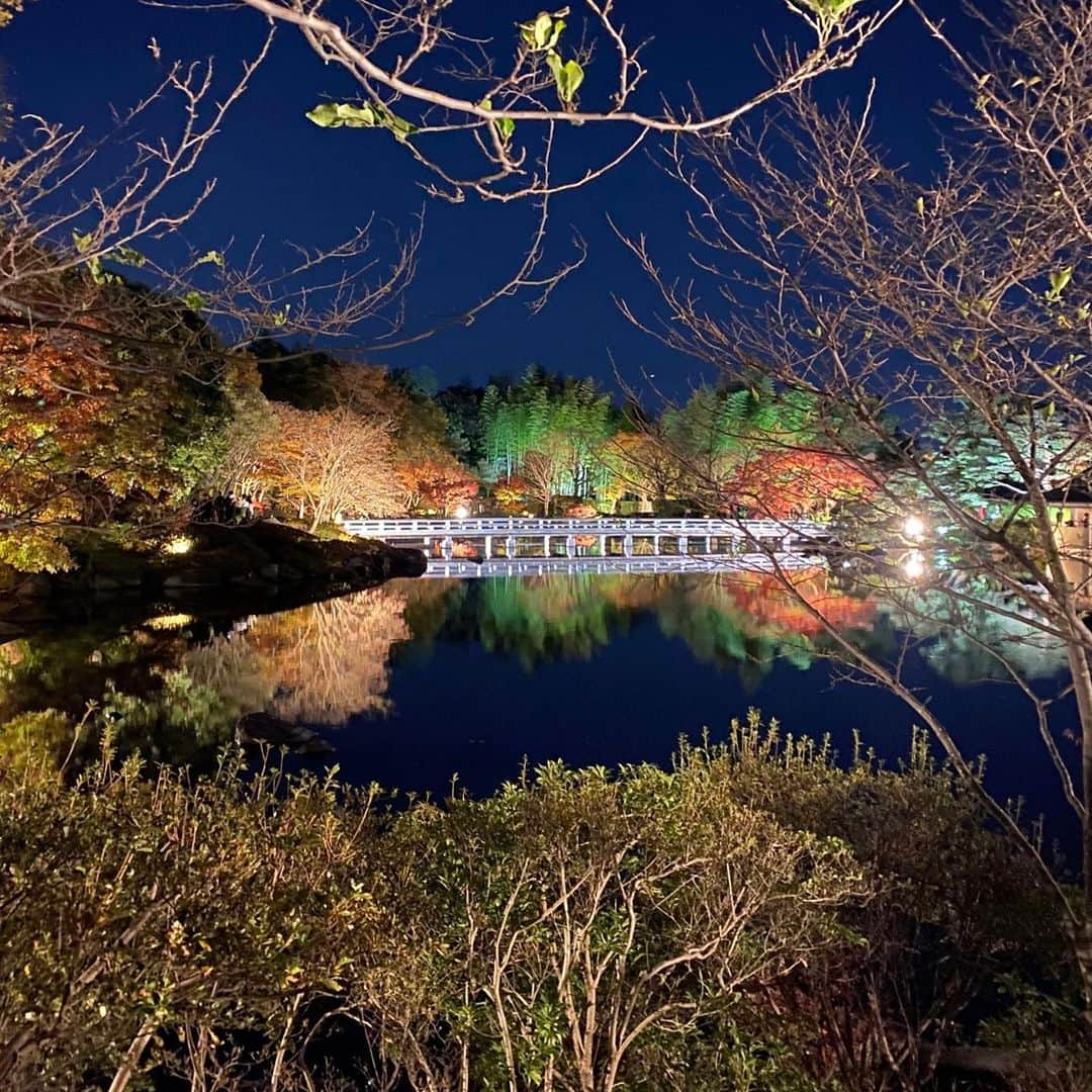 run+さんのインスタグラム写真 - (run+Instagram)「初めての #夜の昭和記念公園 #秋の夜さんぽ 幻想的な景色にうっとり♡  #日本庭園 #紅葉ライトアップ2020 #ライトアップ #紅葉ライトアップ #ライトアップ紅葉 #紅葉デート #お写んぽ #紅葉狩り #もみじ狩り #紅葉 #🍁  #写真好きな人と繋がりたい #カメラ好きな人と繋がりたい  #お写んぽ #ファインダー越しの私の世界 #ファインダは私のキャンパス #写真は心のシャッター  #showakinenpark #昭和公園日本庭園 #秋色 #秋の夜景  #東京 #love_japan #東京紅葉  @runplus #aday」11月23日 15時37分 - runplus