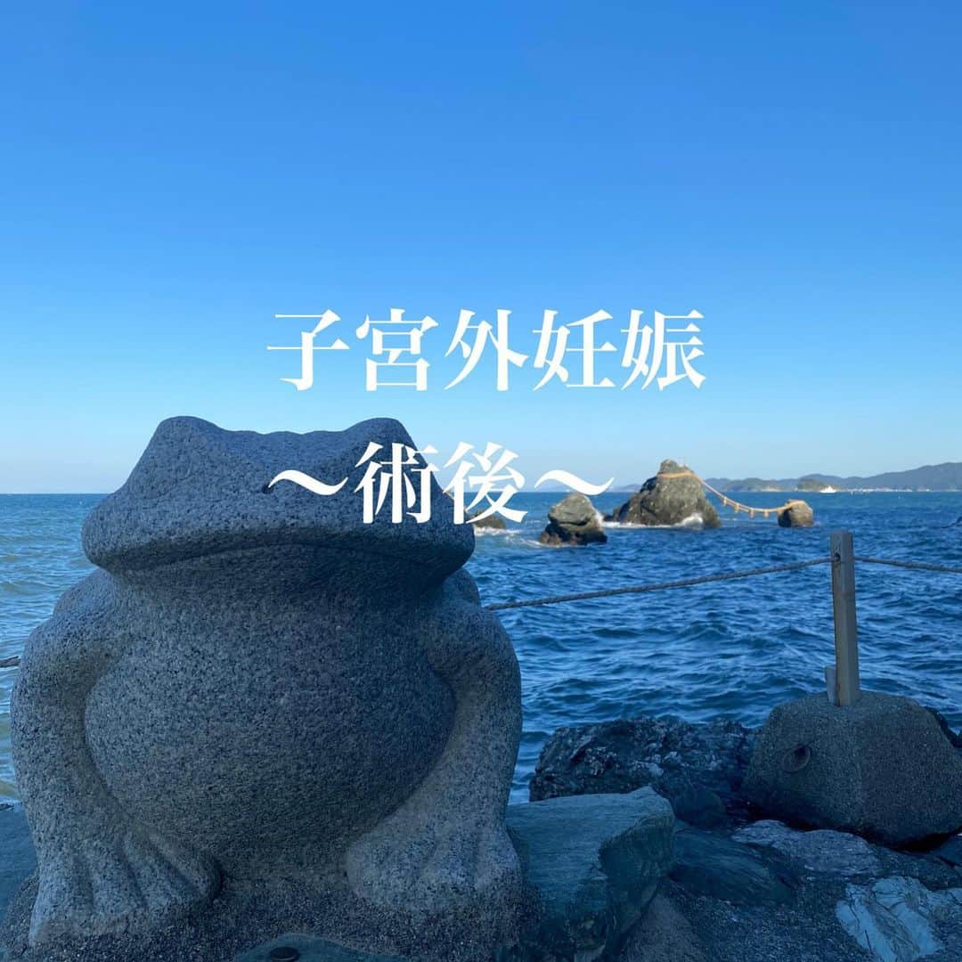 朋未のインスタグラム：「術後１日目  朝の6時起床。 7時頃、手術を担当した先生が来てくれて、ホルモンのような卵管の写真を見せてくれ説明してくれた。 ずっと探していた赤ちゃんの袋(胎嚢)が卵管のところに入ってて膨らんでいた。 ずっと探していたその子は、やっぱりそこにいた。  そんないきなり子宮行けって言われてもよくわからないよね。ごめんね。  そんなふうに思った。  絶食のため朝ごはんはなし。 糖のはいった点滴に切り替えて、看護師さんから「もう少ししたら歩く練習をしますね」と声をかけてもらった。  痛み止めをだしてくれていたので、ロキソニンを一つ飲んで さあ歩く練習！と思って起き上がると、全身冷や汗で気持ち悪くなった。(貧血ではなく、麻酔の後遺症らしい)  それでも休みながら起き上がり院内を歩く。(癒着を防ぐため)  その後は本を読んだり寝落ちしたりAmazon primeを見たり。 お昼からはお粥のごはんだった。  仕事終わりにちょっと寄ってくれた旦那さんが、今度は鶏めしを食べながらお話ししてくれた。 あのホルモンみたいな卵管を生で見たらしく「血だらけの手の先生が手術終わってすぐにこれ見ますかって言ってくるんやもん」 と、きっとあまり得意ではないはずなのに頑張って見てくれたことを教えてくれた。  術後１日目の夜は痛くて寝にくい。 でも、家に帰ったときの痛みが知りたくて(これくらいなら我慢できる、薬はいらないかとか) 薬を飲まなかった。(今思えばこの日の夜は飲んでもよかったかな)  術後２日目は普通食に。 もう痛みも歩かなきゃでなくて、ひたすらのんびり。 手術でいれた炭酸ガスが抜けるまでしんどかった。  術後３日目　朝ごはんを食べ、退院。  次回の診察は３週間後。 傷痕を見るのはまだ怖い。  長々と書いてしまってすみません。。 子宮外妊娠なんて、私もなってみるまで分からなくて、「え、卵管から吸って子宮に送ればいいんじゃないの？」くらいに思っていました。  調べれば調べるほど怖くなり タイミングがずれると、卵管が破裂し命の危険もあるとのこと。 今回、不妊治療の中での出来事だったのでいつ排卵し、いつAIHをしたと詳しく分かったからこそ発見がはやく、そこまで痛みを感じないまま終われたのかな？と思います。  術後４日目。 くしゃみをしたり歩くとまだじんじんはするけど、すっかり元気です。ご心配おかけして大好きな職場も週末まで休むことになり本当に申し訳ないです。。。  次回の受診で問題がなければ、不妊治療を再開してもいいとのこと。 まだ気持ちがかたまってはないけど前向きにがんばります！  読んでいただき本当にありがとうございました✨  #子宮外妊娠 #AIHからの子宮外妊娠　 #AIH #人工授精 #不妊治療 #入院生活」