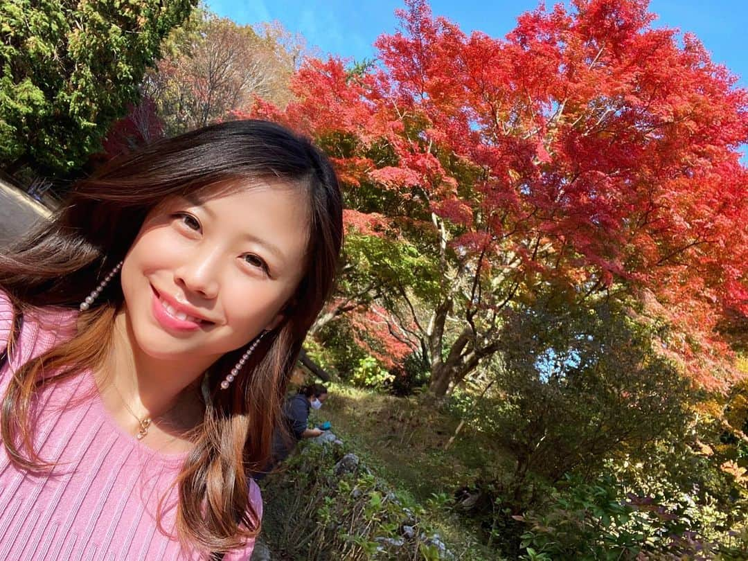 Chiakiのインスタグラム：「紅葉🍁2020( ¨̮ )  #紅葉 #もみじ #神戸 #神戸紅葉 #兵庫県 #紅葉2020」